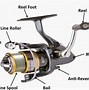 Image result for Fly Fishing Reel Parts