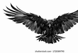 Image result for Raven Goofy Picture