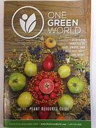 Image result for Australian Lime One Green World