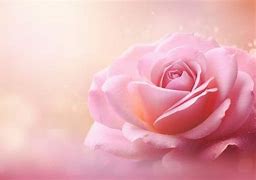 Image result for Rose Vine Background