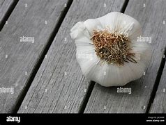 Image result for Garlic Clove Halved