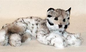 Image result for Lynx Rufus Stuffed Animal