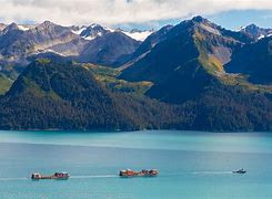 Image result for Resurrection Bay Seward Alaska