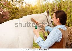 Image result for Horse Nursing