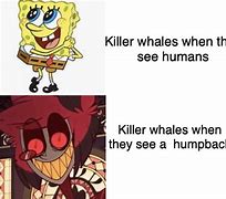 Image result for Killer Whale Titan Meme