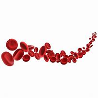 Image result for Blood Cells Clip Art