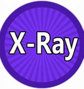 Image result for X-ray Roblox