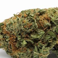 Image result for OG Kush Indica