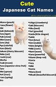 Image result for Popular Anime Cat Characters