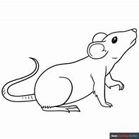 Image result for 3D Rat Printable