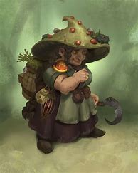 Image result for Gnome Female Druid