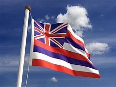 Image result for The Hawaiian Flag