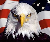 Image result for I'm an Eagle Meme