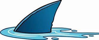 Image result for Shark Fin Drawing