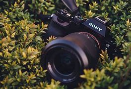 Image result for Sony Alpha Background HD