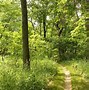 Image result for Gravel Bike Trails Linn County Iowa