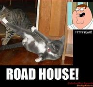 Image result for Funny Ads in Family Guy