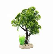 Image result for Tree in Fish Tank