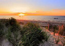 Image result for Cape Cod Beach