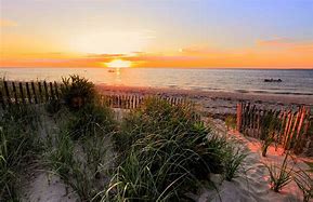 Image result for Cape Cod Beach