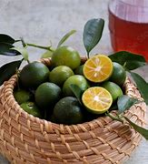 Image result for Kumquat Fruit Green and Orange