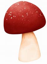 Image result for Cute Mushroom PNG