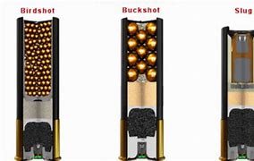 Image result for Birdshot Shells