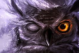 Image result for Night Owl Hensoldt