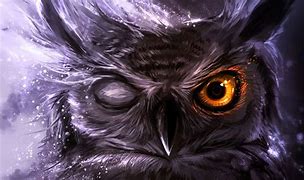 Image result for Night Owl Posters