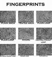 Image result for Finger Labels