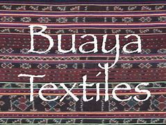 Image result for Baju Dari Kulit Buaya