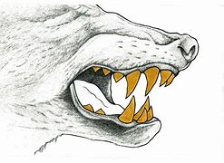 Image result for Wolf Teeth Drawing Feral