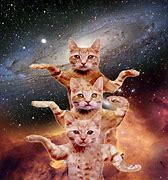 Image result for Outer Space Cat Meme