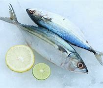 Image result for How to Cook Mackerel Indian