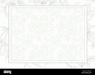 Image result for White Blur Invitation Background