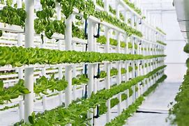 Image result for Hydroponic Watering System