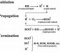 Image result for Lipid Oxidation