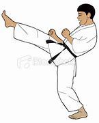 Image result for Front Kick by Mea Geri