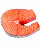 Image result for Salmon Fish Pic