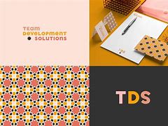 Image result for Tsdmobility Logo