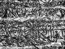 Image result for Stainless Steel Microstructure