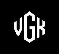 Image result for Vgk New Face Logo