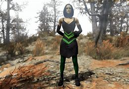 Image result for Fallout 76 Dress