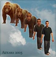 Image result for Animal Morph Bear