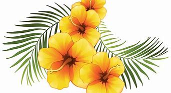 Image result for Tropical Flower Clip Art Black and White