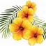 Image result for Tropical Flower Clip Art Black and White