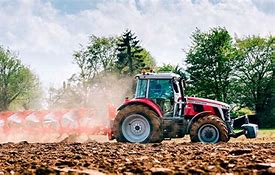 Image result for Massey Ferguson Plant