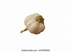 Image result for Picture of Galic On White Background