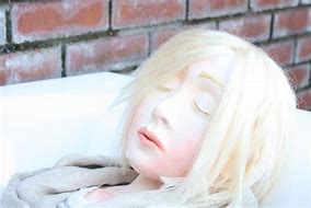 Image result for Life-Size BJD