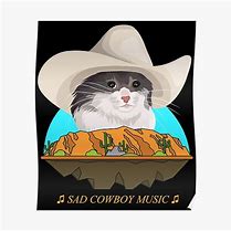 Image result for Sad Cowboy Cat Meme